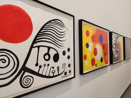 678556635_1722101358762230_6482485636583005273_n